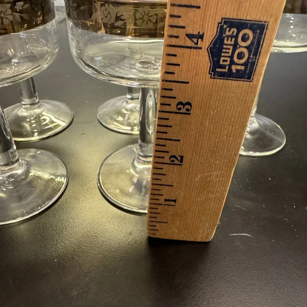 Vintage Champagne Coupe Set 6 Silver Floral Etched Rim Mid Century Clear Glass